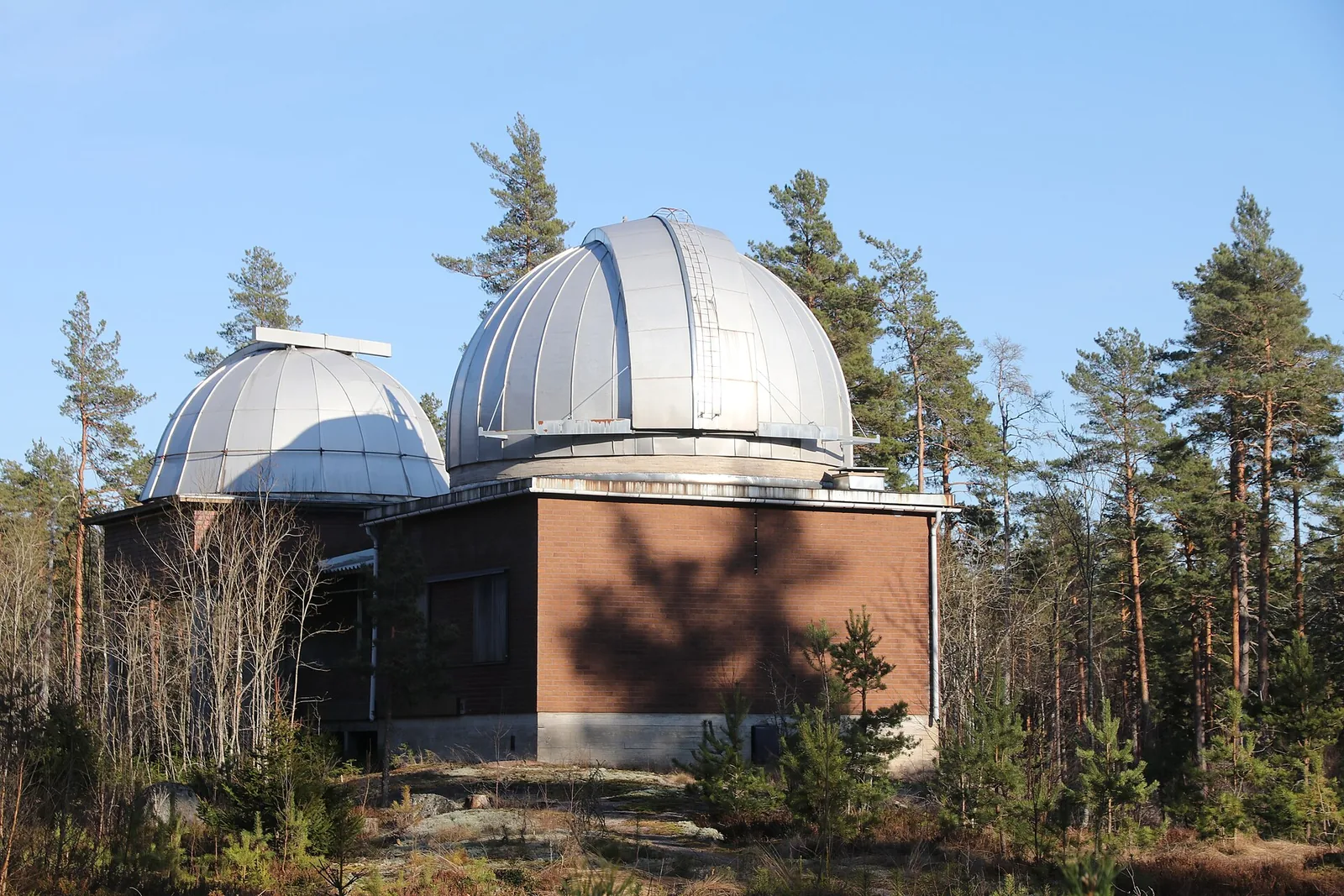 Metsähovin observatorion kupolit männikössä