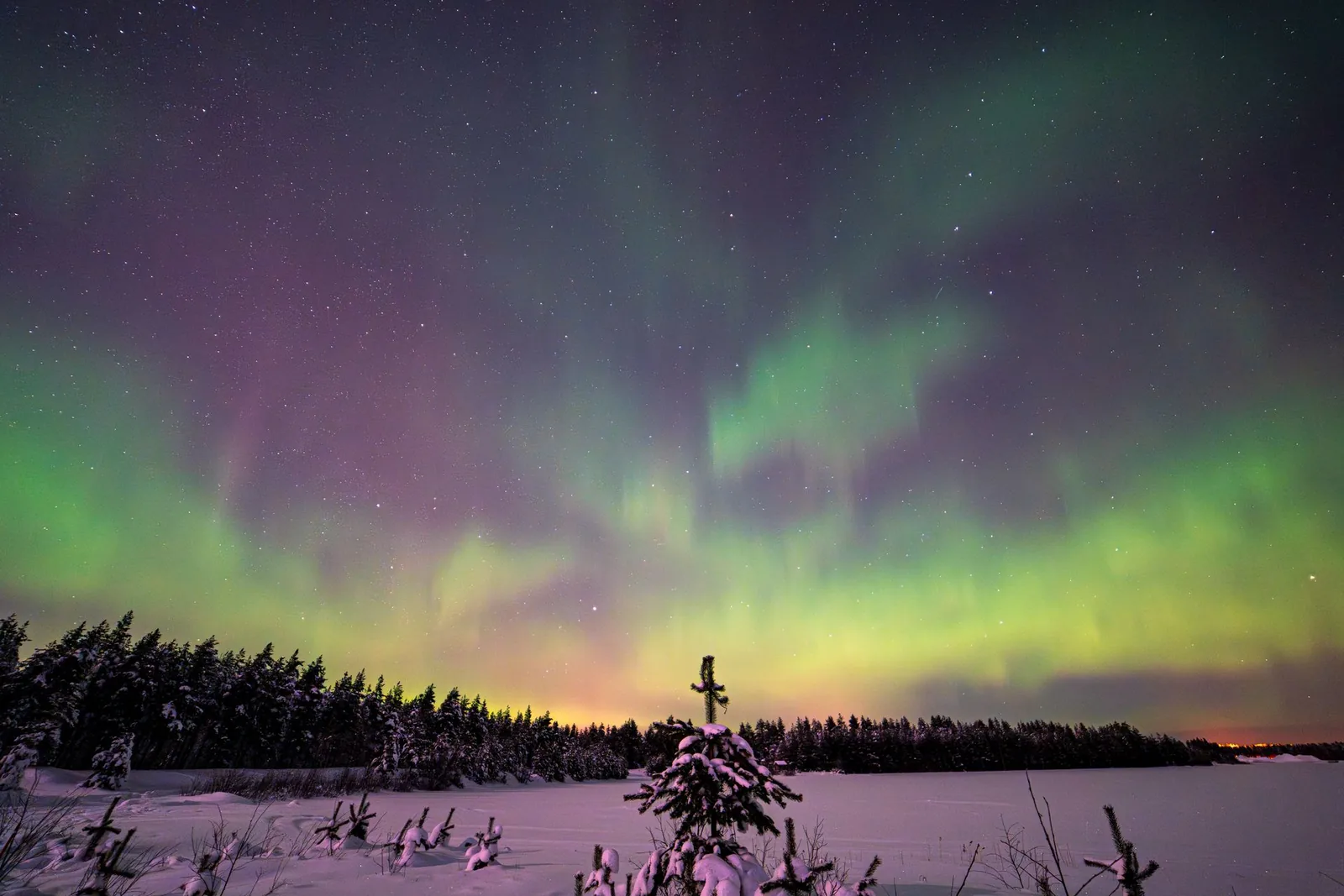 Revontulet lumisen metsän ja järven yllä