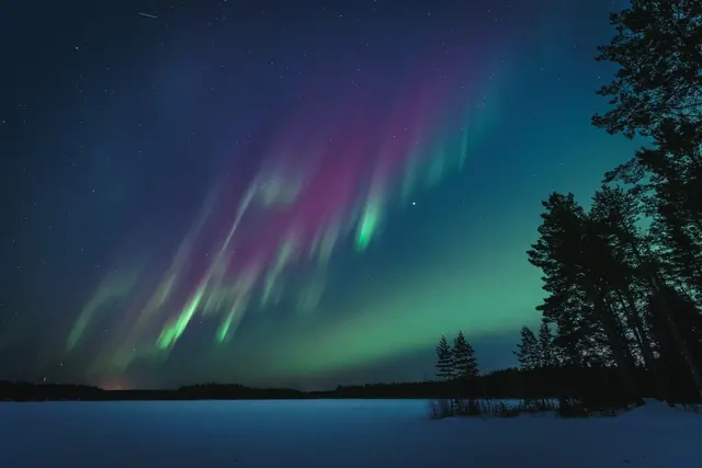 Revontulet kuusien ja lumisen tien yllä