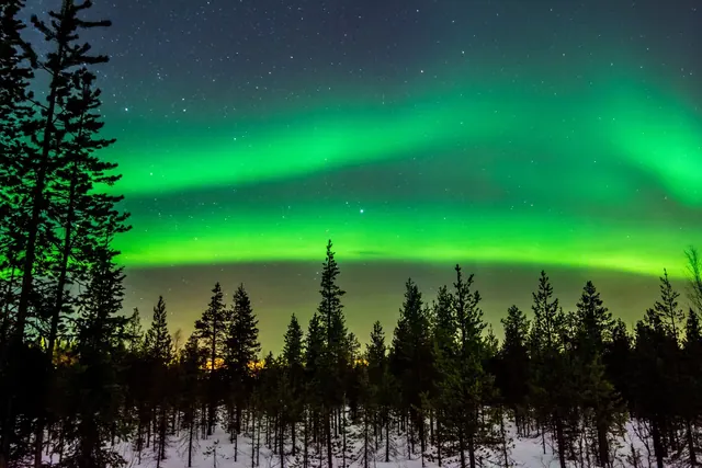 Vihreä revontulikaari metsän yllä