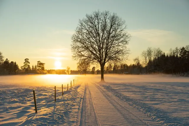 Aurinko nousee lumisen pellon ja hiihtoladun yllä