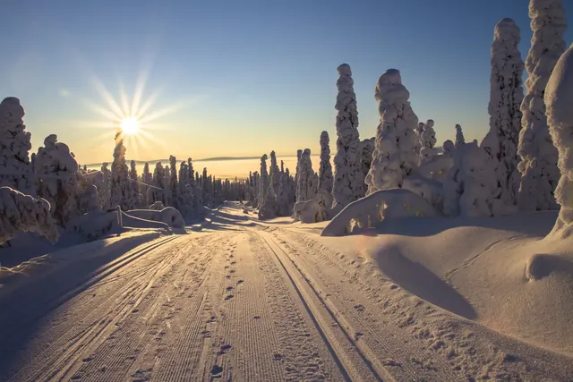 Matala talviaurinko lumisen metsän ja hiihtoladun yllä