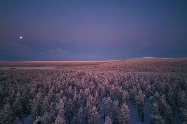 Talvinen metsä hämärässä ja kirkas piste taivaalla