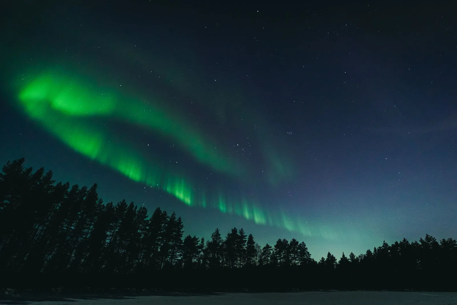Revontulet kuusimetsän ja järven yllä