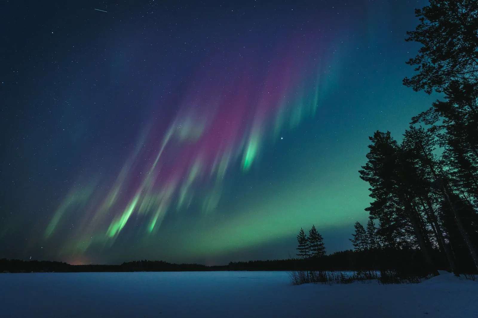 Revontulet kuusien ja lumisen tien yllä
