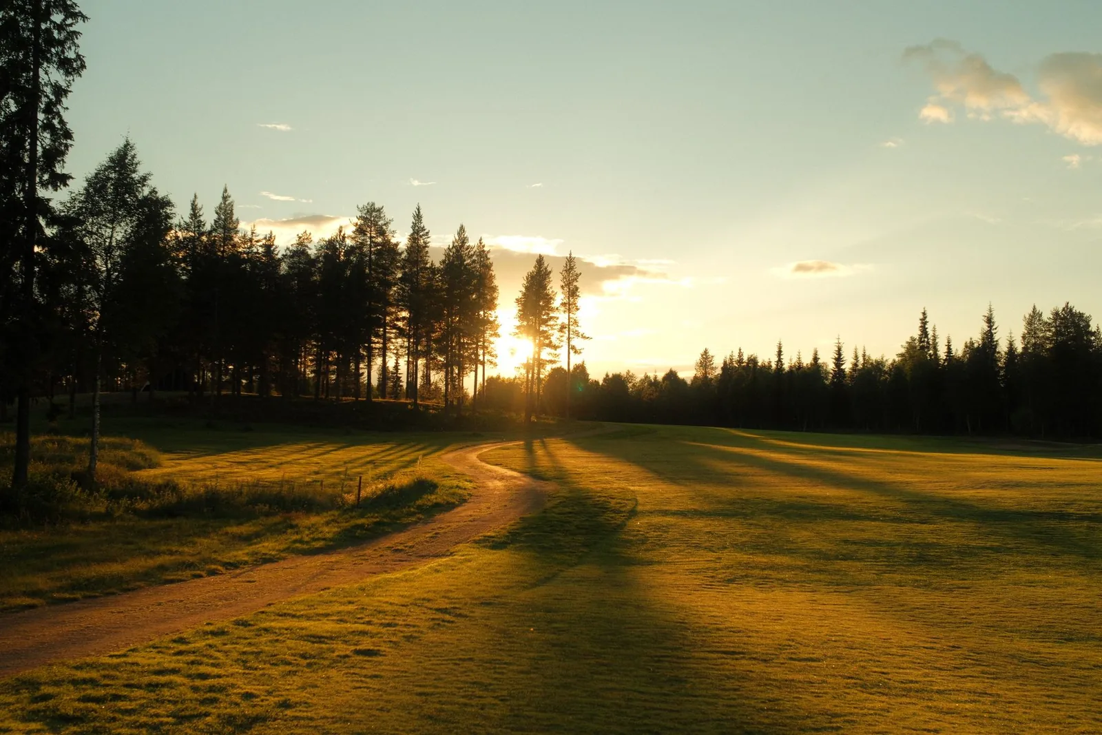 Matala aurinko mäntyjen takana kesäillassa