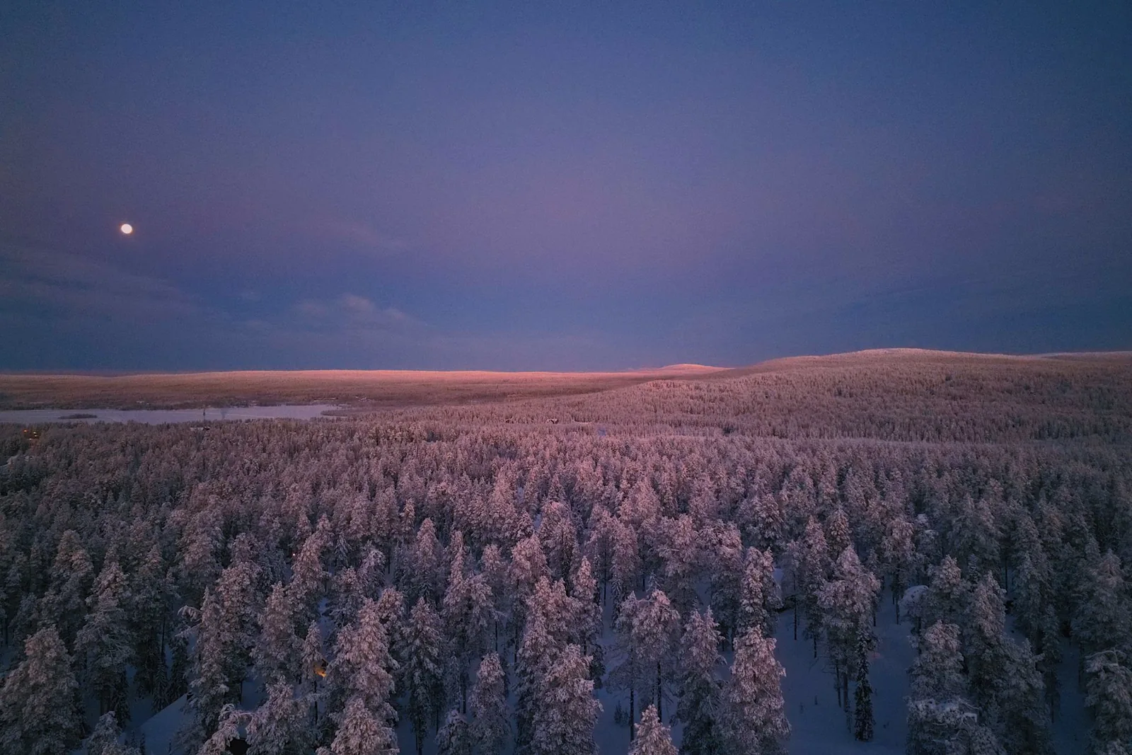 Talvinen metsä hämärässä ja kirkas piste taivaalla